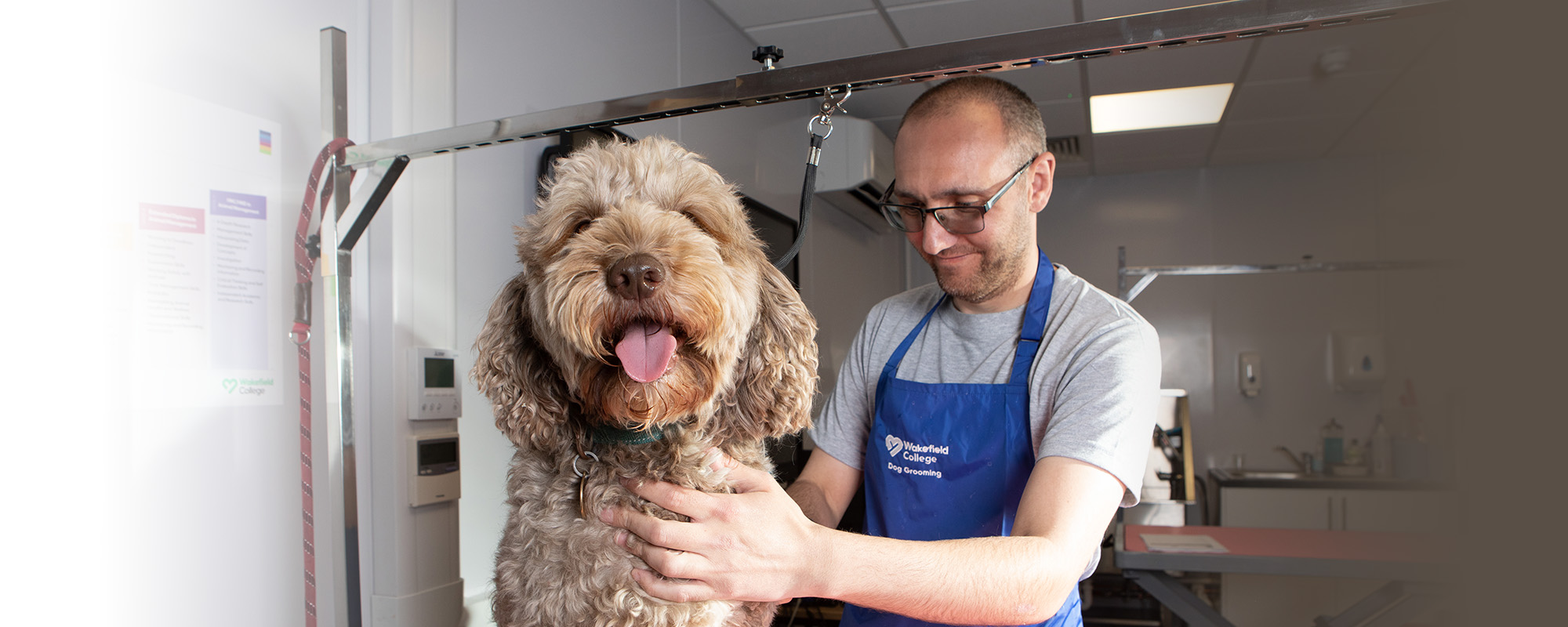 Student grooming a dog